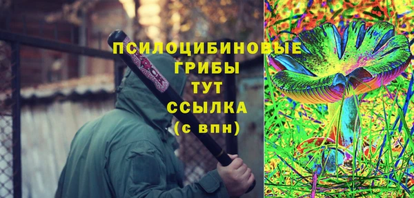 ПСИЛОЦИБИНОВЫЕ ГРИБЫ Абаза