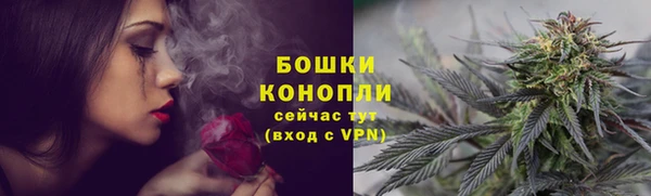 ПСИЛОЦИБИНОВЫЕ ГРИБЫ Абаза