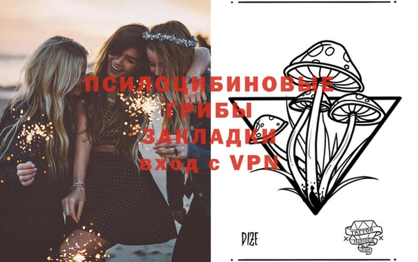 ПСИЛОЦИБИНОВЫЕ ГРИБЫ Абаза