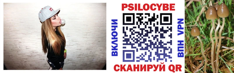 купить   Знаменск  blacksprut ONION  Галлюциногенные грибы Magic Shrooms 